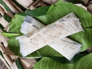 TEMPE DAUN