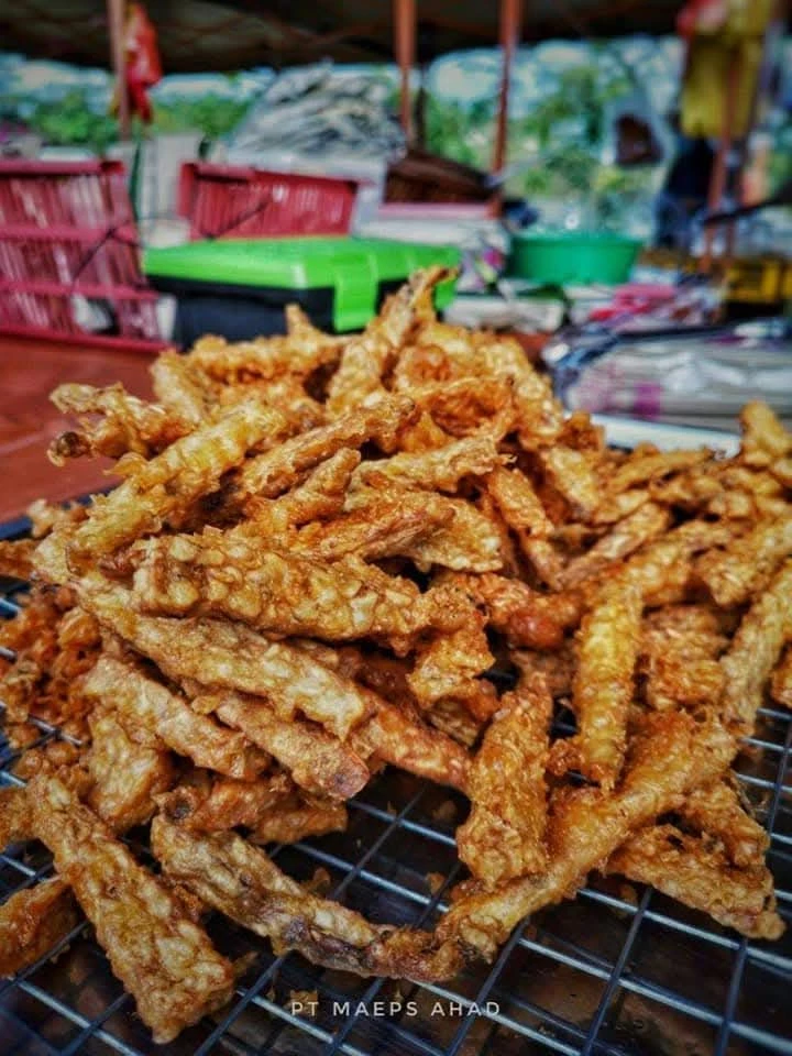 TEMPE DAUN