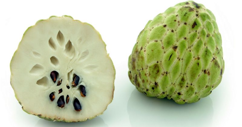Biasa