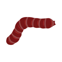 usp-image