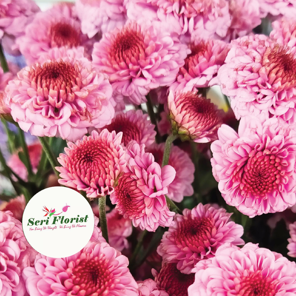 Fresh Flower