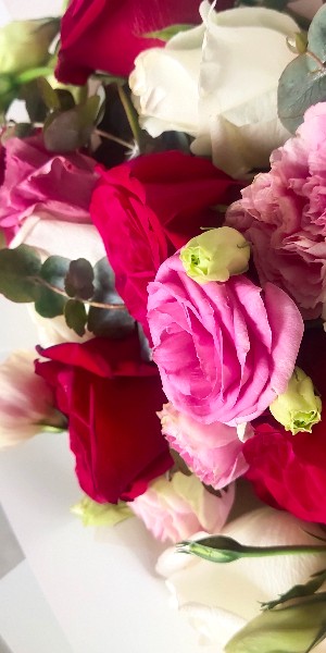 Valentine's Day