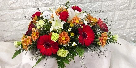 Vibrant Delight