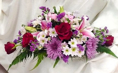 Lily Rosa Delight